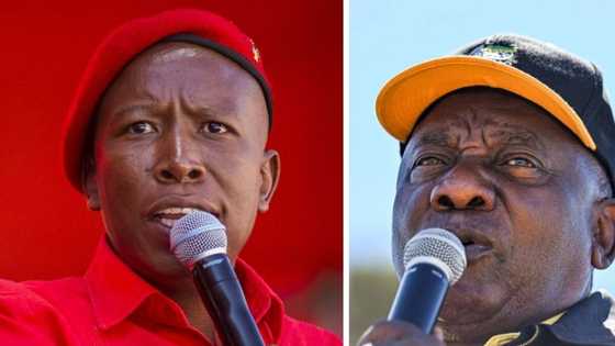 Julius Malema criticises ANC for loadshedding during matric exams