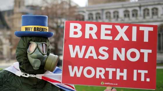 UK turning against Brexit and Tories look doomed: top pollster