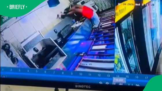 Flexible thief slips under counter to steal booze in TikTok video