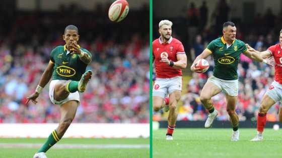 South African rugby fans sceptical of World Rugby’s free RugbyPass TV for Rugby World Cup: "Pigs will fly"