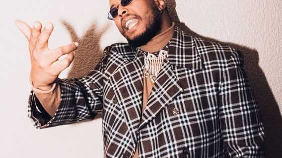 Top facts you ought to know about Anatii