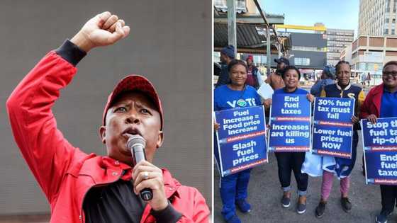 EFF threatens national shutdown, DA plans protests over fuel hikes, says government is tone deaf to SA's pleas