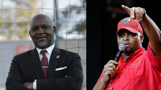 "Mosimane is an exceptional African coach": EFF demands that SAFA fine Sundowns