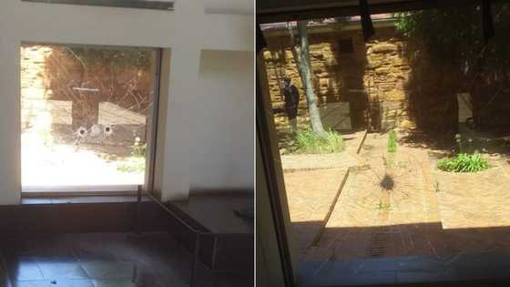 South Africans say the State is under attack after a man was arrested for smashing ConCourt windows with a hammer