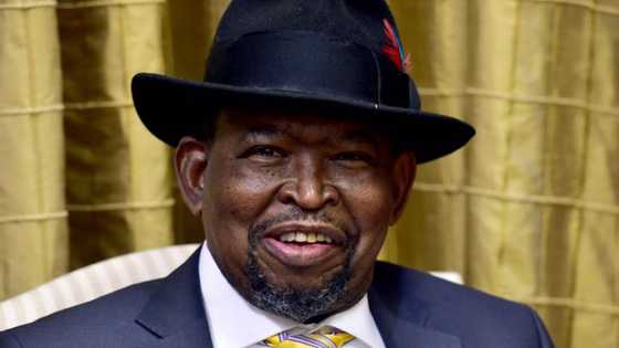 Finance Minister Enoch Godongwana says SA seeing only 'isolated' criminal incidents