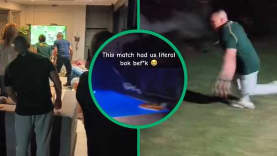 Springboks' victory against England in Rugby World Cup has SA man jumping in pool fully clothed