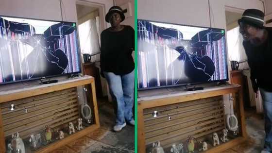 Woman yells in disbelief after falling for broken TV prank, TikTok video of upset homeowner has SA laughing