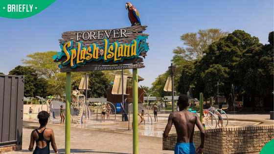 Warmbaths owner forever resorts South Africa sold to Benus Trade and Invest