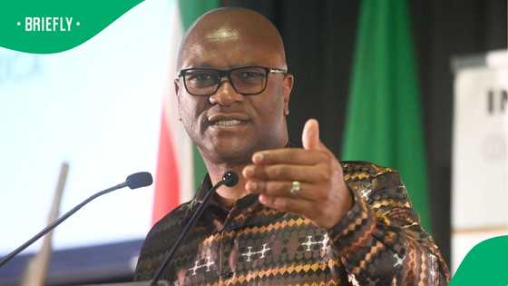 South Africans react to SAPS sending team to Paris after Ambassador Nathi Mthethwa’s death