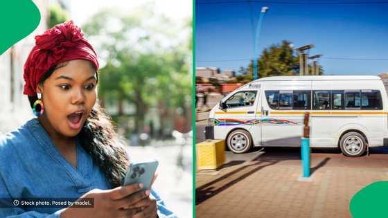 "It’s witchcraft": SA chimes in as swarm of bees invades vehicle in Polokwane