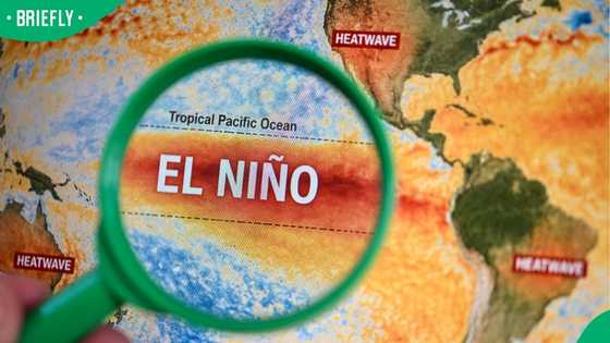 “I’m very concerned”: Mzansi reacts to El Niño update by Weather Girls in TikTok video