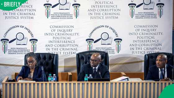 Steven Motsumi: ‘Feared’ businessman subpoenaed to testify at Madlanga Commission of Inquiry