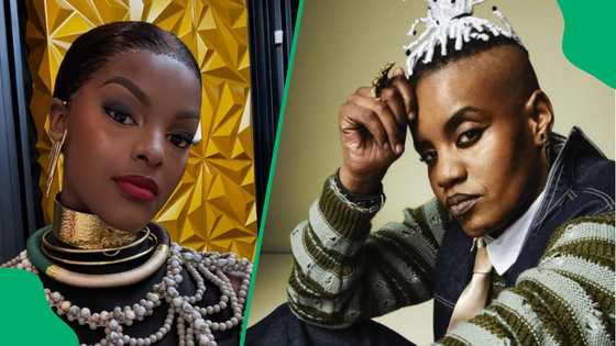 Mzansi hilariously blames Toya Delazy for Chidimma's recent citizenship drama: "Y'all play too much"