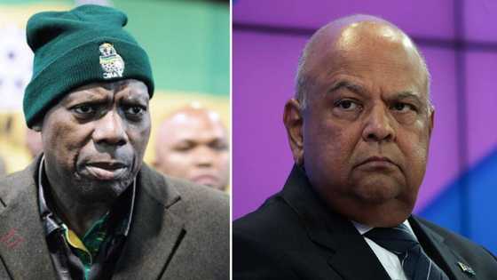 Zweli Mkhize secures spot in the NEC and Pravin Gordhan fails, SA not surprised: "All the crooks have made it"