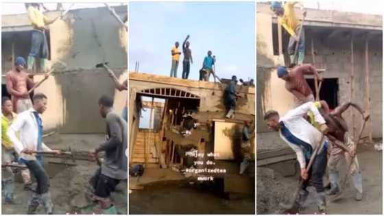 Dignity in labour: Bricklayers at work show their happiness, dance as they shovel sand in video