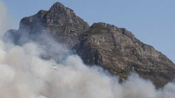 Reports state UCT fire was started intentionally, suspicious vehicle spotted