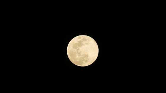 What to know about the NASA-funded commercial Moon fleet