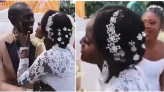 "Kiss your wife": Clip shows groom refusing bride's attempt to lock lips, people react
