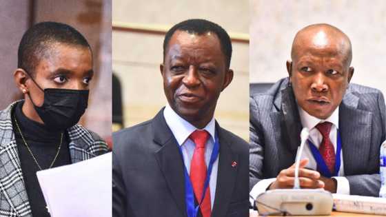 Chaos erupts at Pan African Parliament with fistfights and flying kicks