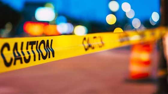 Police launch investigation after 4 wrapped bodies believed to be illegal miners found on Benoni road