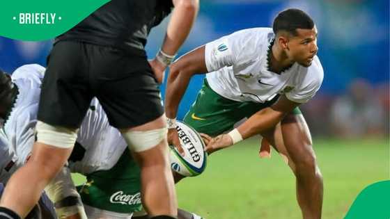 Stormers secure Haashim Pead move after weeks of uncertainty over Lions star