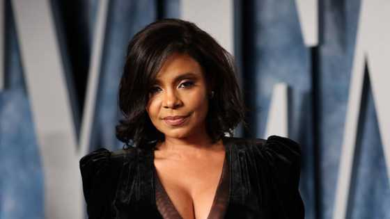 Sanaa Lathan's biography, age, ex-husband, parents, movies, and profiles