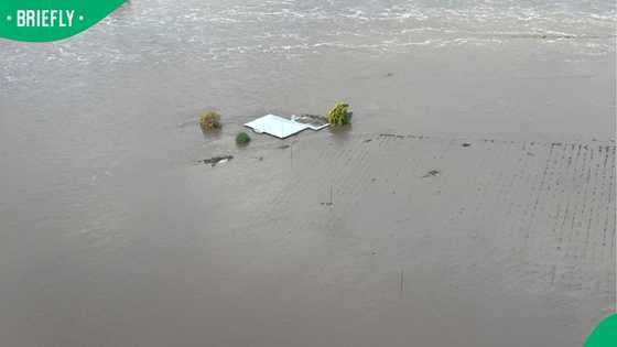 "How can we donate?": Western Cape family loses everything as submerged home leaves Mzansi in tears