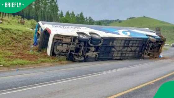Mpumalanga bus crash claims five lives, at least 26 people injured after vehicle overturns on R33