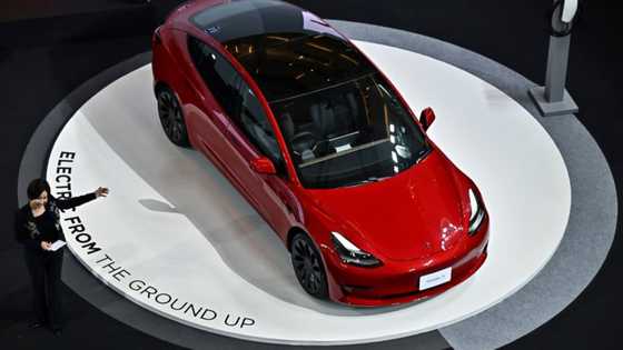 Between new rivals and a distracted boss, Tesla suffers on Wall Street