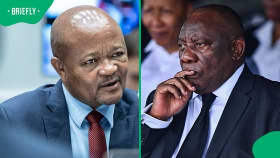 Senzo Mchunu says he consulted with President Cyril Ramaphosa after disbanding PKTT