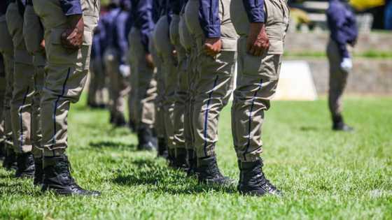 Johannesburg Metro Police Department face racial scandal after coloured wardens were snubbed posts