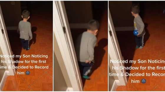 Little boy screams in fear seeing his shadow for the 1st time in viral video