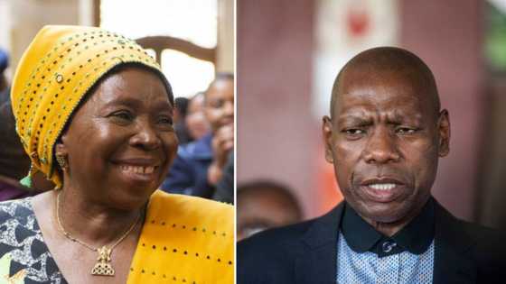 Dr Zweli Mkhize's presidential aspirations knocked by Dlamini-Zuma contestation plans