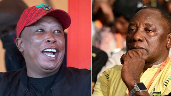 "This is petty": EFF plans Siyabonga Rally on the same day as the ANC's birthday party, Mzansi weighs in