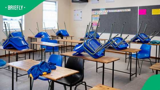 North West High Court rules that English-speaking children remain at Afrikaans-only school