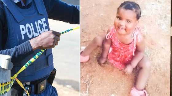 21-Month-old missing girl found dead in bushes by Limpopo police, SA horrified