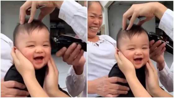 Baby keeps laughing as barber gives him haircut, funny video amazes people, ‘breaks’ the internet