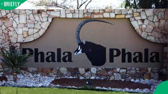 Phala Phala: MK Party calls for formal visit to Ramaphosa’s farm as part of impeachment inquiry