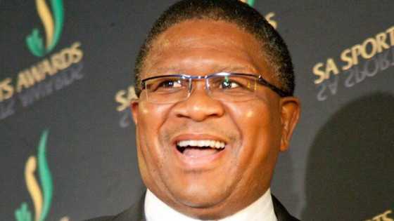 Fikile Mbalula biography: age, wife, education, Tweets, cars, scandal, and contact details