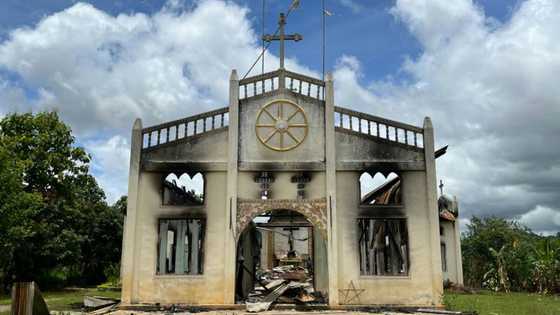 Myanmar military landmine use amounts to war crimes: Amnesty