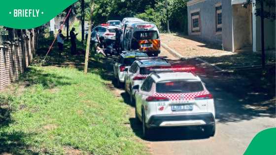 KwaZulu-Natal: Mother and daughter injured in alarming pitbull attack