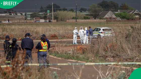 Ekurhuleni Murders: How 9 women's deaths left South Africans mourning and SAPS searching for answers