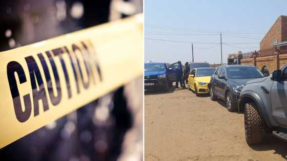 14 Luxury cars seized during Hawks raid in Gauteng alleged Zama zama kingpins arrested