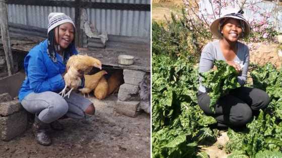 Passionate farmer proudly posts pics with produce, relishes results of hard work