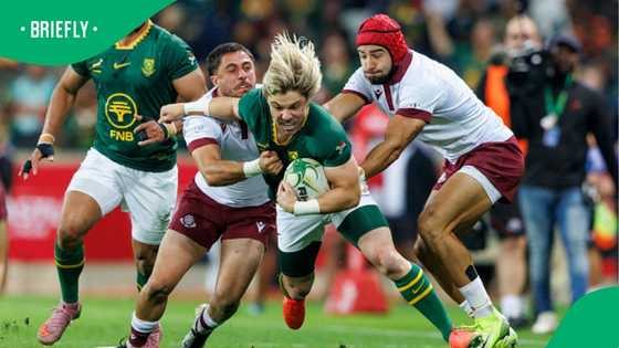 Faf de Klerk swaps Springboks squad for Namibian family escape