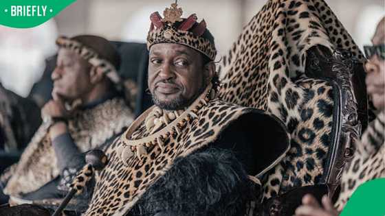 Addington primary school clash: King Misuzulu's controversial remarks ignite immigration debate