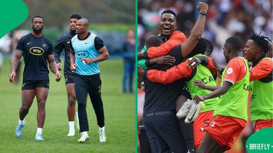 Springboks star reacts to Benni McCarthy’s comments on Kenya’s victory over Morocco