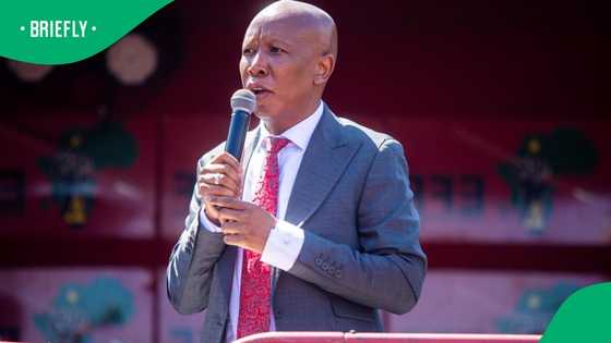 Julius Malema expected to beef up legal team to prepare to appeal gun trial conviction