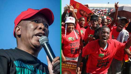 Julius Malema urges older voters: Let Mandela and Buthelezi rest, seek new leadership