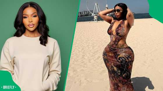 Tebogo Thobejane slams men for being afraid to date her after surviving hit: "Men are not brave"